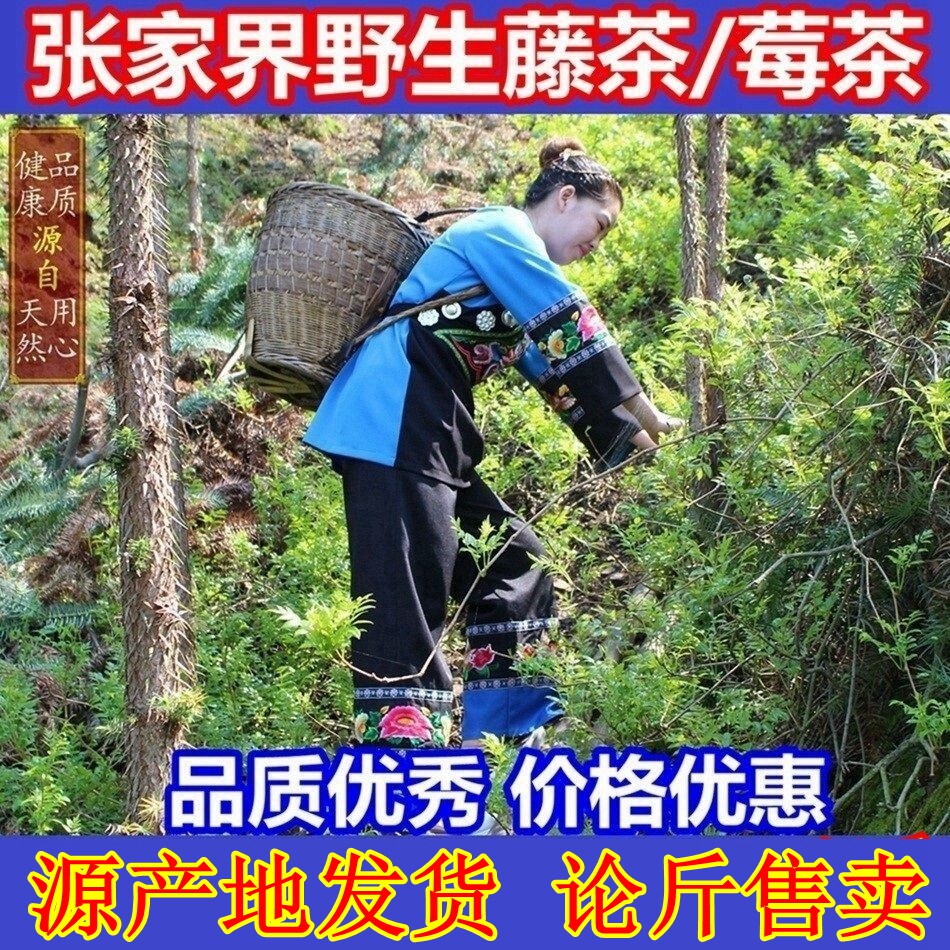 湖南野生藤茶新茶 土家莓茶润喉养生 张家界直发2025年新叶甘露茶