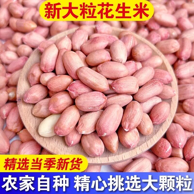 新鲜生花生米白沙花生仁去壳自种农家大颗粒新货榨油下酒菜大颗粒