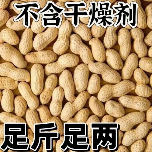 农家铁锅炒花生新花生带壳现炒现发新货柴火熟花生原味坚果零食