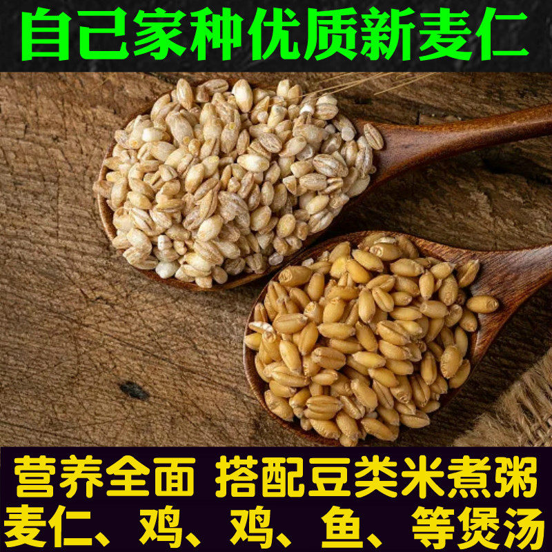 小麦仁新货河南农家自产去皮小麦仁煮粥营养健康早餐粗粮代餐麦饭