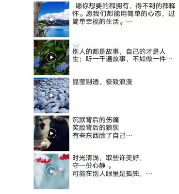 朋友圈文案小视频发布平台风景音乐青春励志搞笑正能量群每天更新