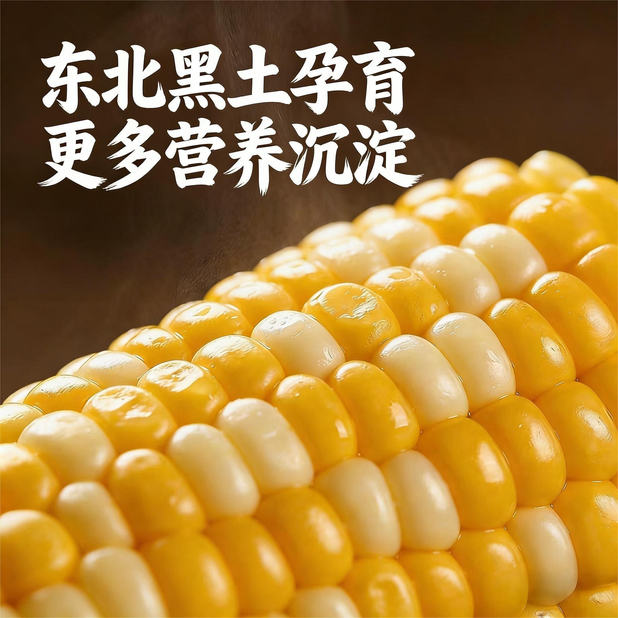 耘米飘香黑土地鲜食玉米吉林原产地直供甜糯健康玉米棒真空锁鲜,粮油调味/速食/干货/烘焙,玉米,淘宝优惠券,粉丝福利购,淘宝优惠卷