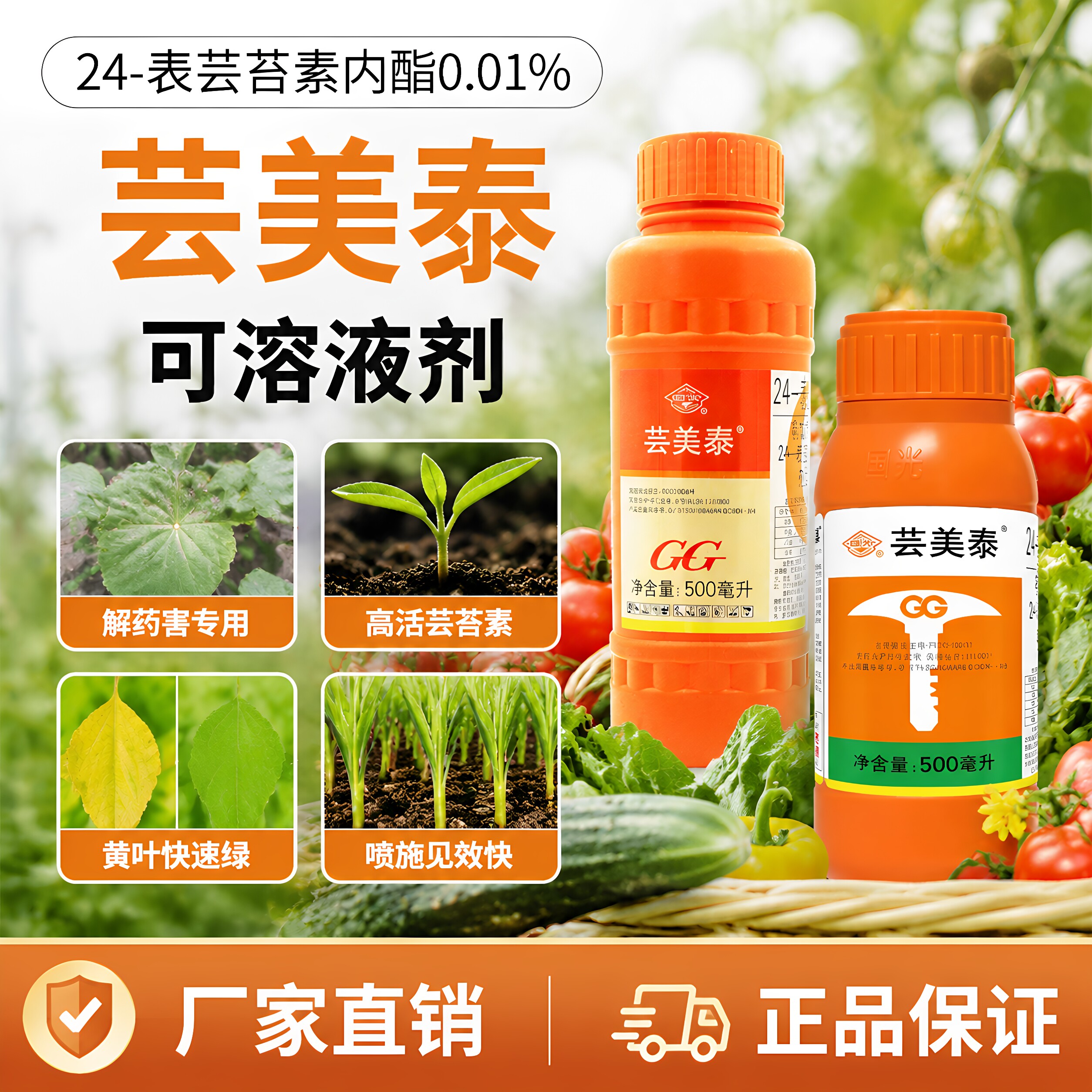 国光芸美泰24表芸苔素生根壮苗