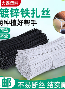 电镀锌包塑铁丝葡萄园艺塑料扎丝盆栽花架爬藤架扎条绑电源线扎带