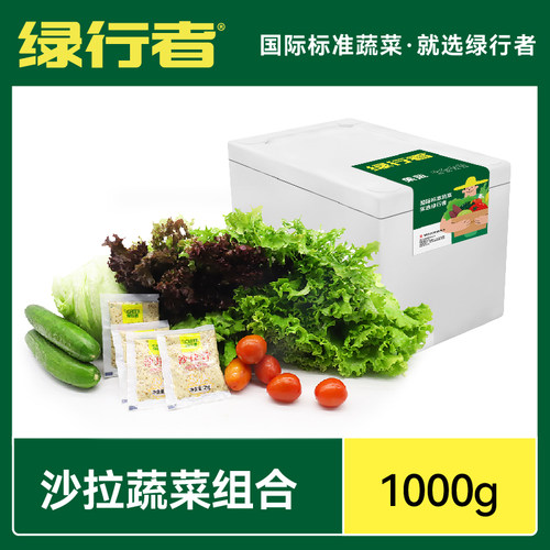 精选五种绿行者沙拉菜