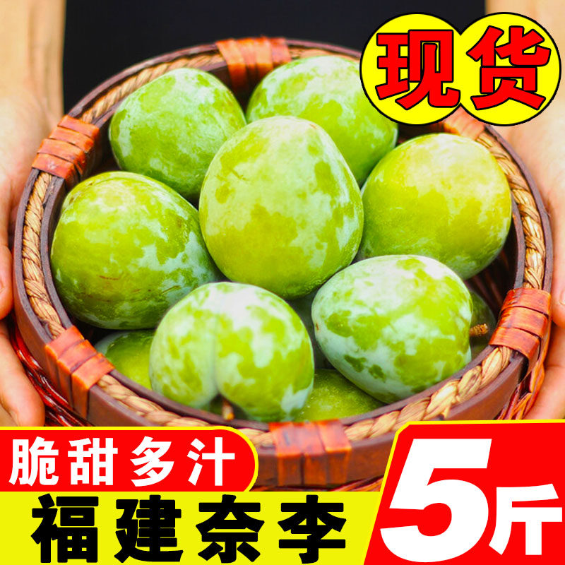 现摘速发福建脱骨奈李脆甜李子
