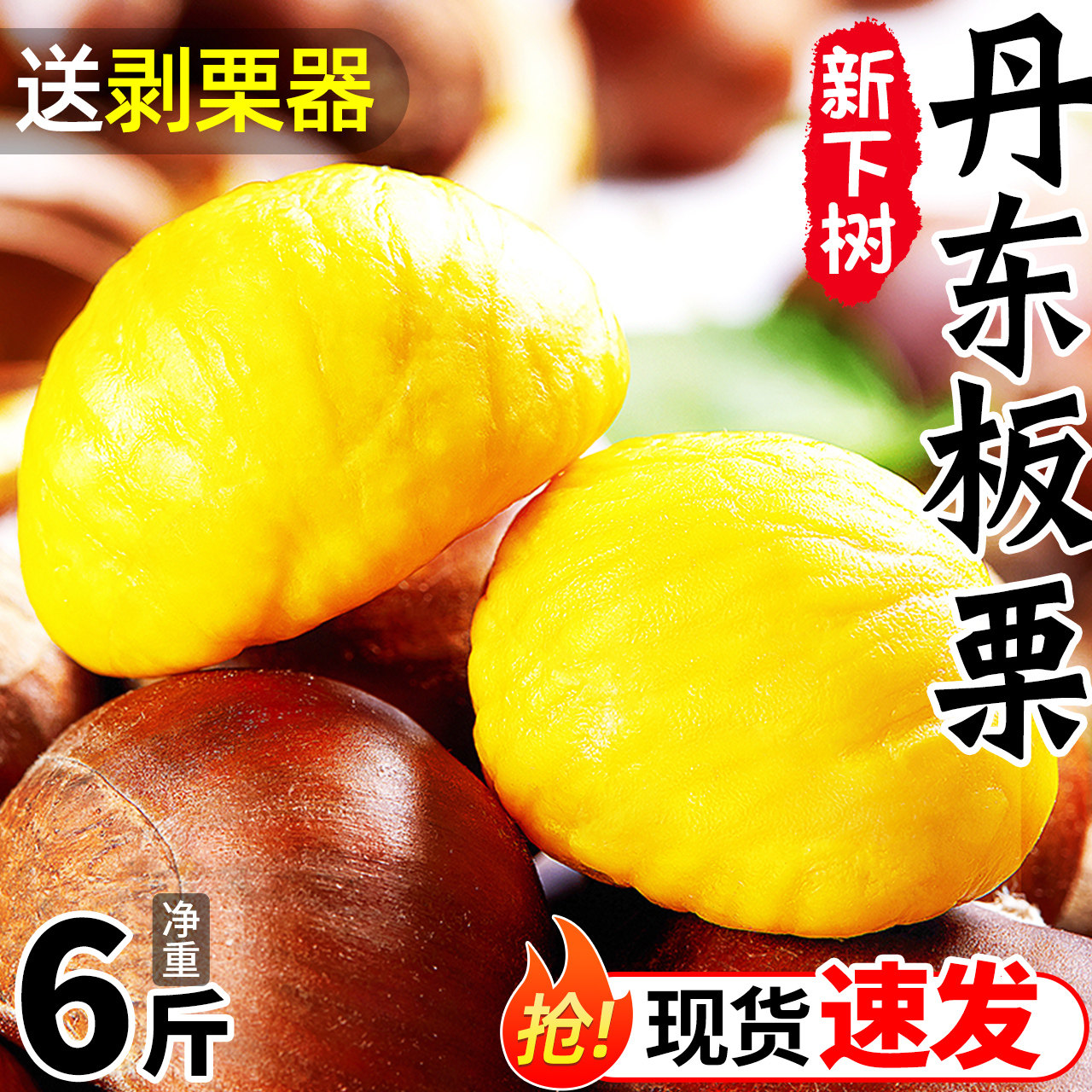 新鲜丹东板栗当季大板栗生栗东北油锥栗野生5斤大果栗子小毛栗子