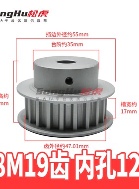 EBL01-S8M150 250 300 400-19-B-P-d12至22孔S8M19齿同步轮皮带轮