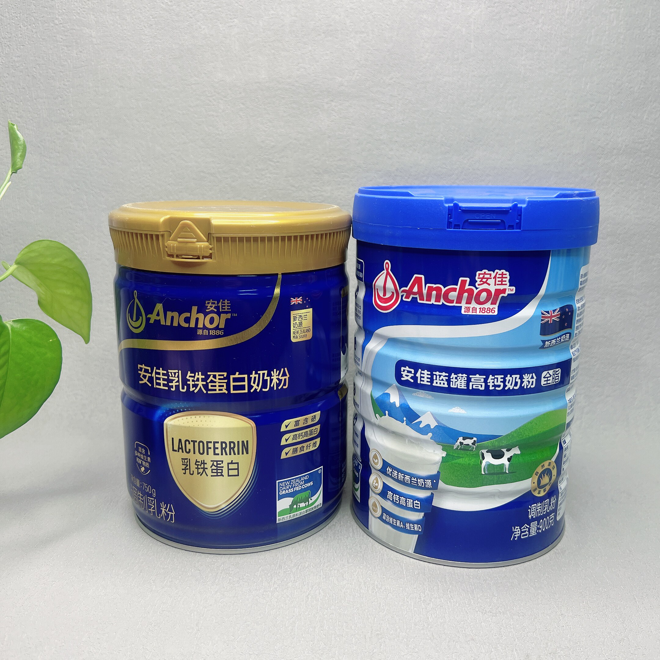 特价 乳铁蛋白奶粉750g/蓝罐高钙奶粉全脂900g全家营养冲饮早餐奶