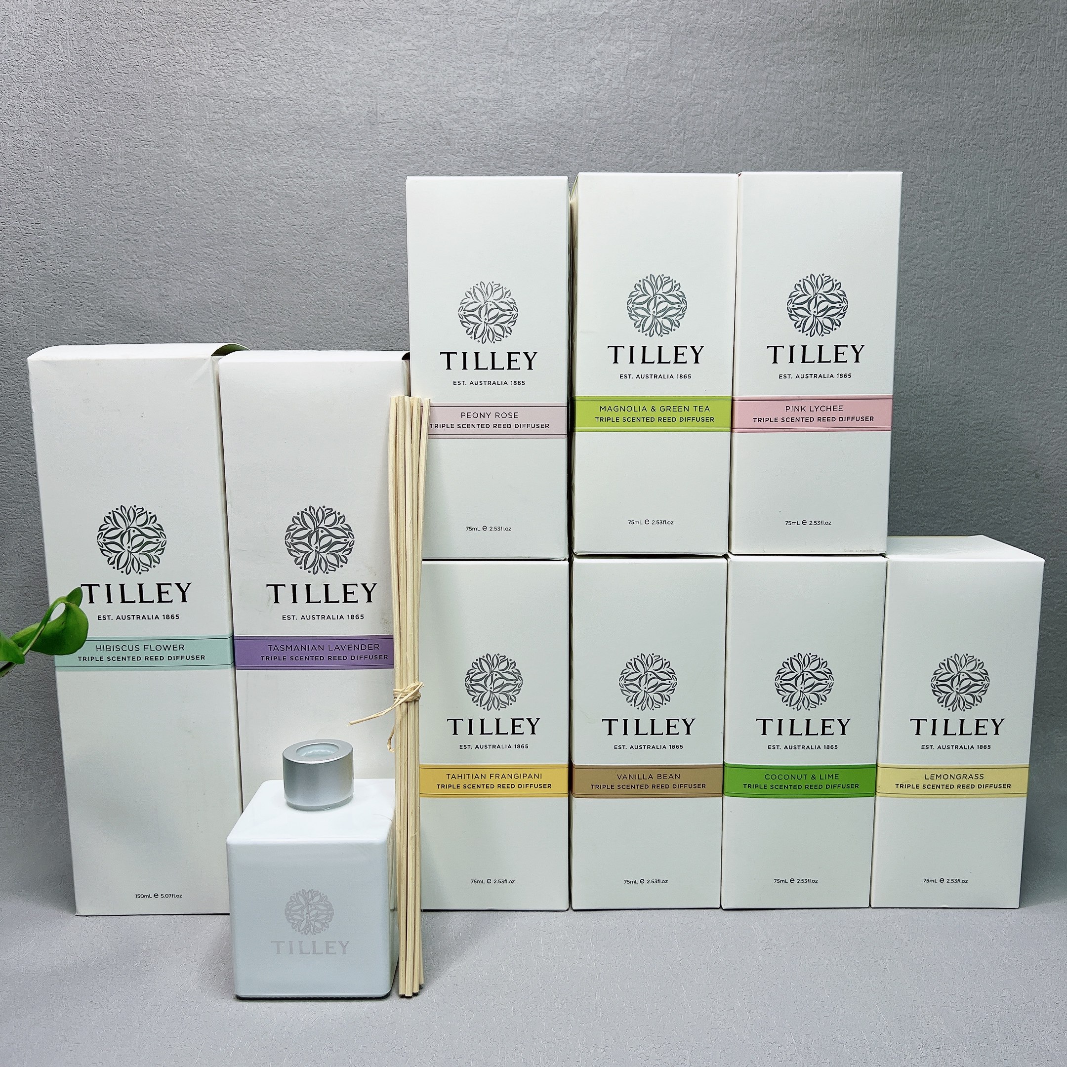 年度毕冲好货！无火藤条香薰150ml室内扩香除味香氛摆件,洗护清洁剂/卫生巾/纸/香薰,香薰挥发液,淘宝优惠券,粉丝福利购,淘宝优惠卷