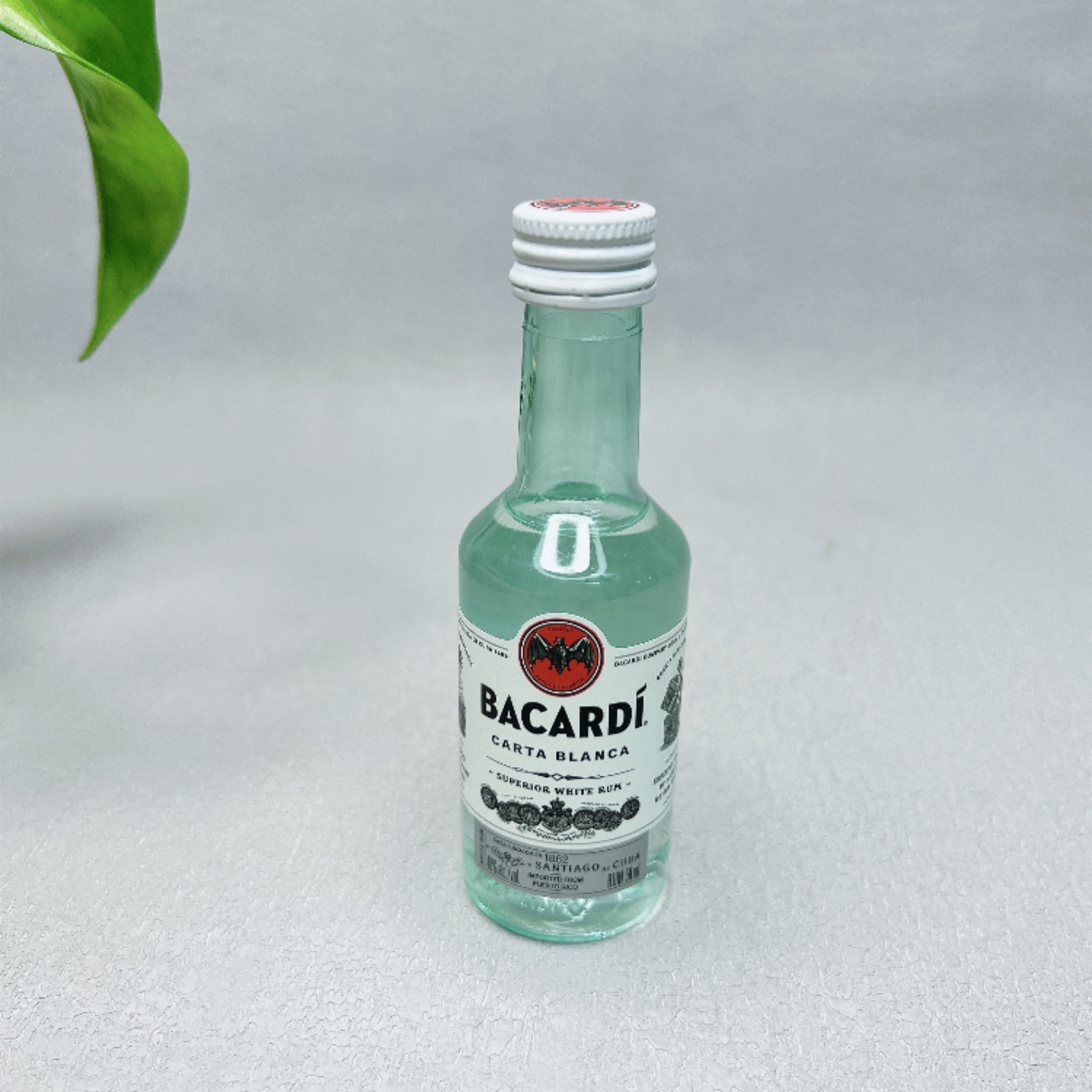 特价 百加得白朗姆酒50ml迷你洋酒小酒版基酒便利店调酒40度