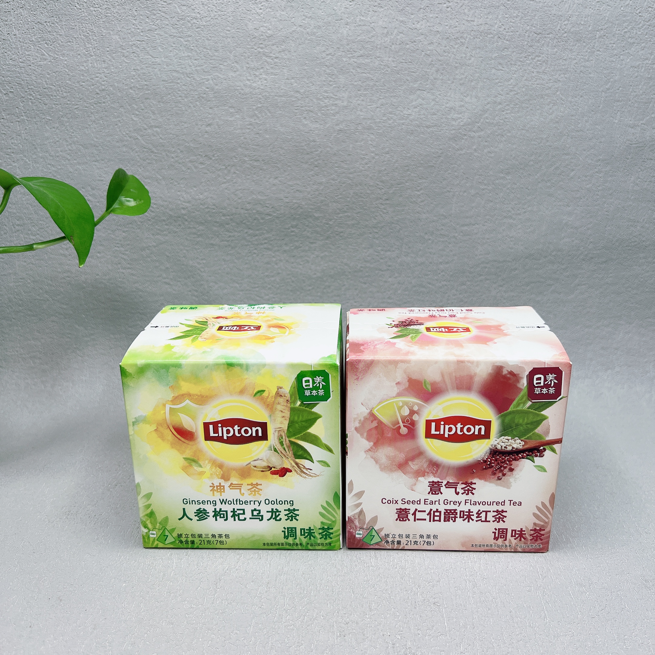 临期特价 立顿人参枸杞/薏气茶伯爵味红茶/静宁茶含7包冲泡提神