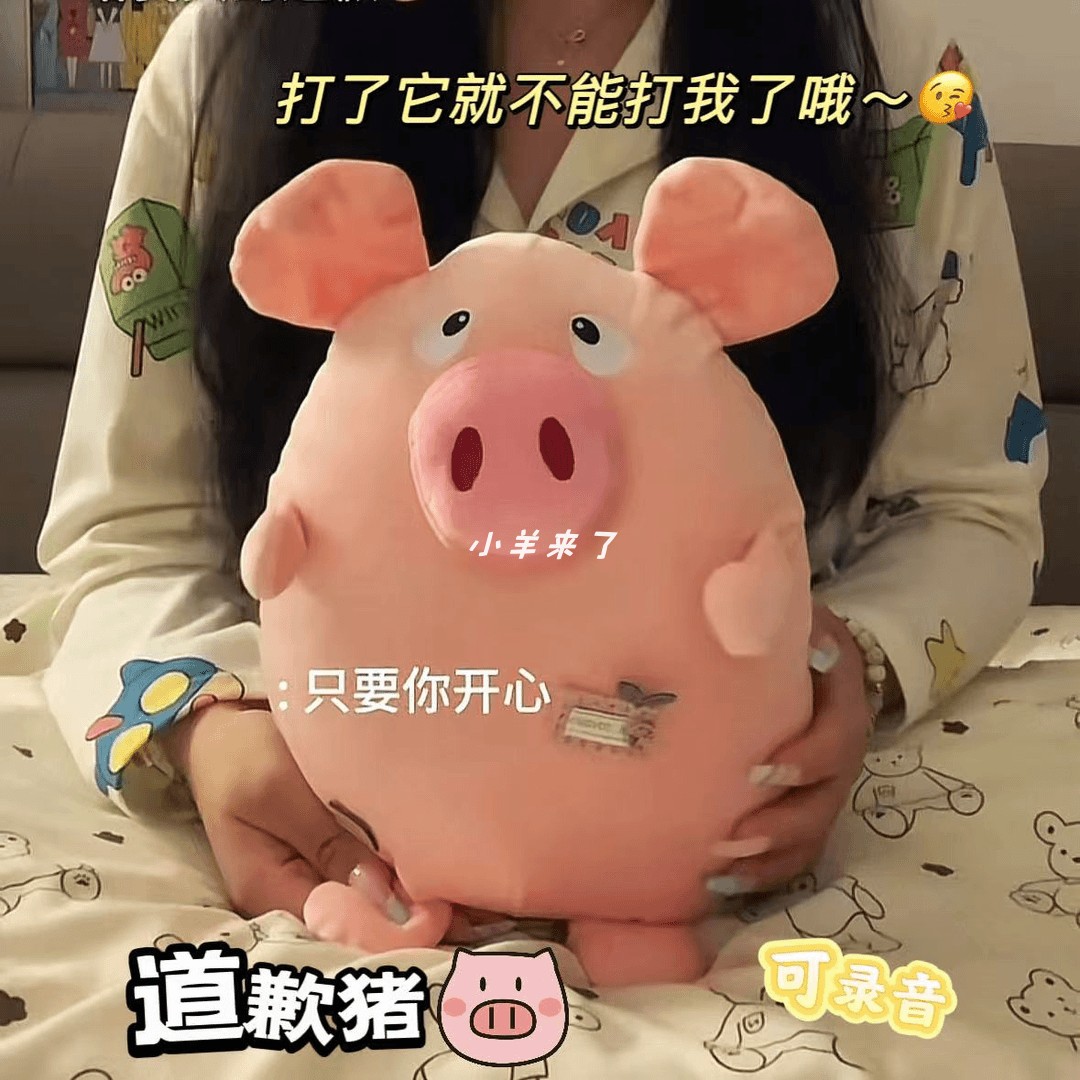 道歉猪发声玩偶爱情和平猪毛绒玩具可录音玩偶送女生情侣道歉礼物