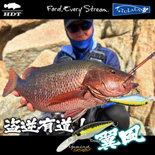 HDT翼风/路亚11g/25克石斑黑鲷假饵远投深潜海钓浮水米诺