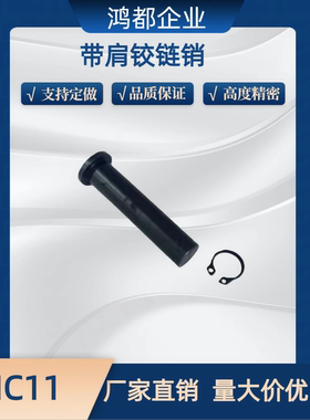 带肩铰链销MIC11-D3 D4 D5 D6 D8 D10-L10 12 14 15 16 50 挡圈轴
