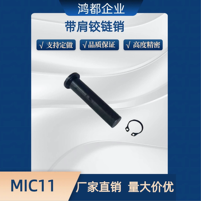 带肩铰链销MIC11-D3 D4 D5 D6 D8 D10-L10 12 14 15 16 50 挡圈轴