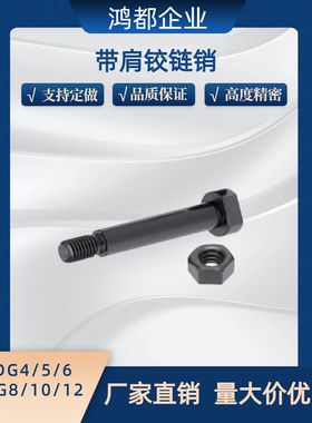 带肩铰链销轴CLBDG CLBGN5 6 8 10 12-15 16 20 22 22 24MIE01 11