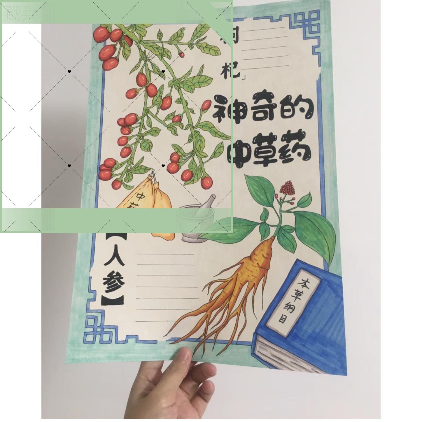 神奇的中草药手抄报模板简单可打印手绘小学生绘画可爱黑白竖版