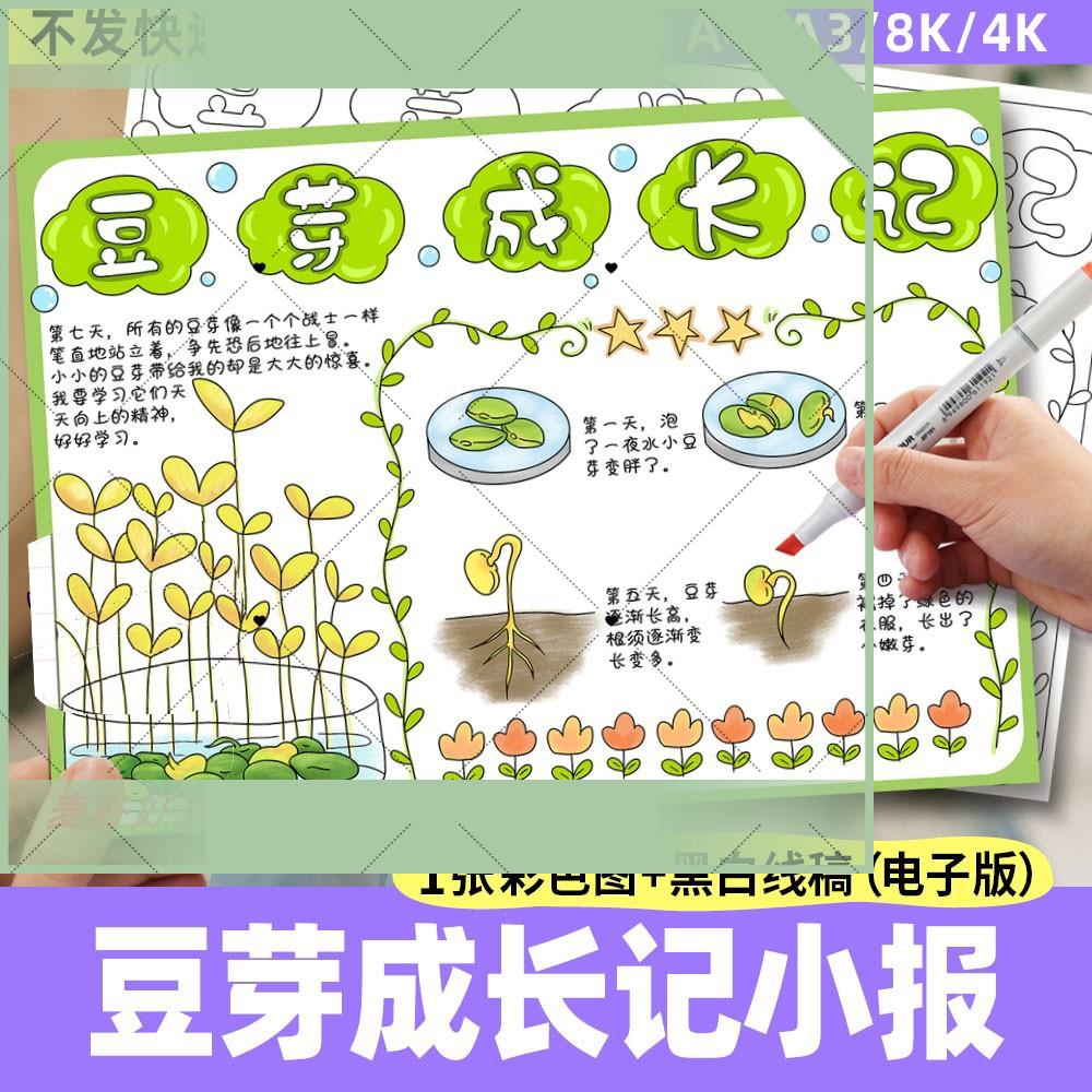 电子版豆芽成长记手抄报电子模板 植物生长观察日记小学生记录表