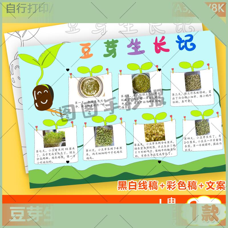 电子版绿豆芽生长记手抄报小学生绿豆芽观察日记成长记录自然笔记