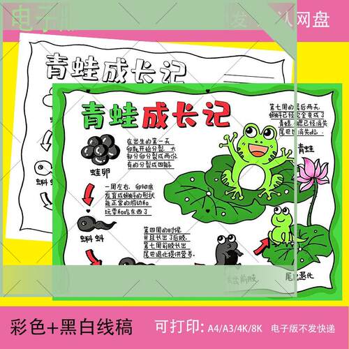 可打印青蛙成长记手抄报模板小学生观察动物小蝌蚪成长记录日记黑