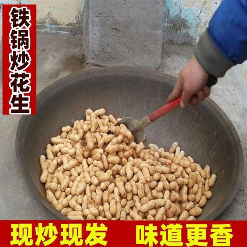 炒花生带壳原味2025新货带壳花生农家铁锅炒花生熟原味炒货红皮