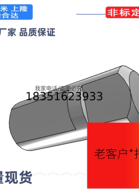 CLSW4-10-F3-T6铰链销 双止转面型