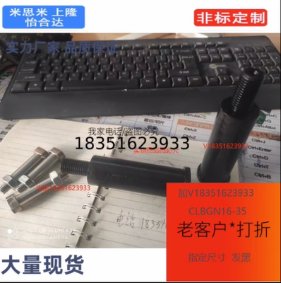 CLBR20-[20-200/0.1] CLBR22/25铰链销 带肩螺帽固定型