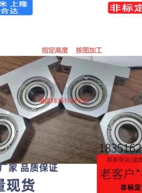 BGJ41 BGJ42 BGJ43 BGJ44 BGJ46带座轴承 单轴承T型 高度h选择型