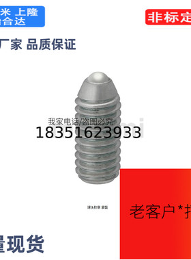 BPQ3BPQ4BPQ5BPQ6BPQ8BPQ10BPQ12BPQ16BPQ20球头柱塞