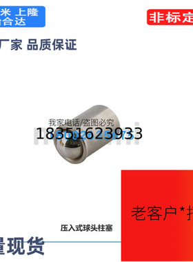 PFPSN2/3/4/5/6/8/10/压入式球头柱塞