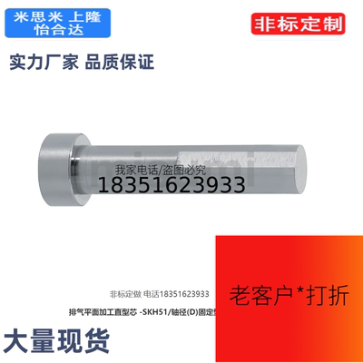 GW-CPV-L排气平面加工直型芯SKH51/轴径D0.5/0.6/0.7/0.8/0.9/1