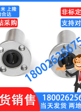 高品质直线轴承LHFR6/LHFR8/LHFR10/LHFR12/LHFR13/LHFR16/LHFR20