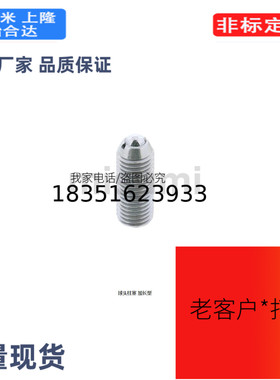 NSJL4NSJL5NSJL6NSJL8NSJL10NSJL12NSJL16球头柱塞 加长型