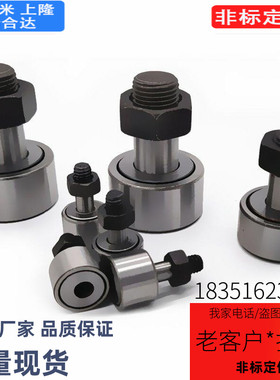 内六角螺栓轴承凸轮随动器 BTL BTLP-D10 12 13 16 19 22 26 30