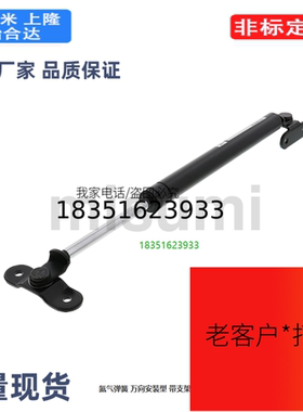 FGSB22100A 替米思米气弹簧