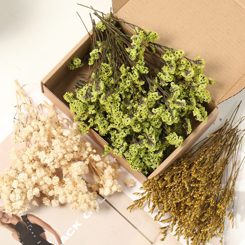 满天星diy永生花手工填充装饰品拍摄幼儿园精致压花小花相框礼物