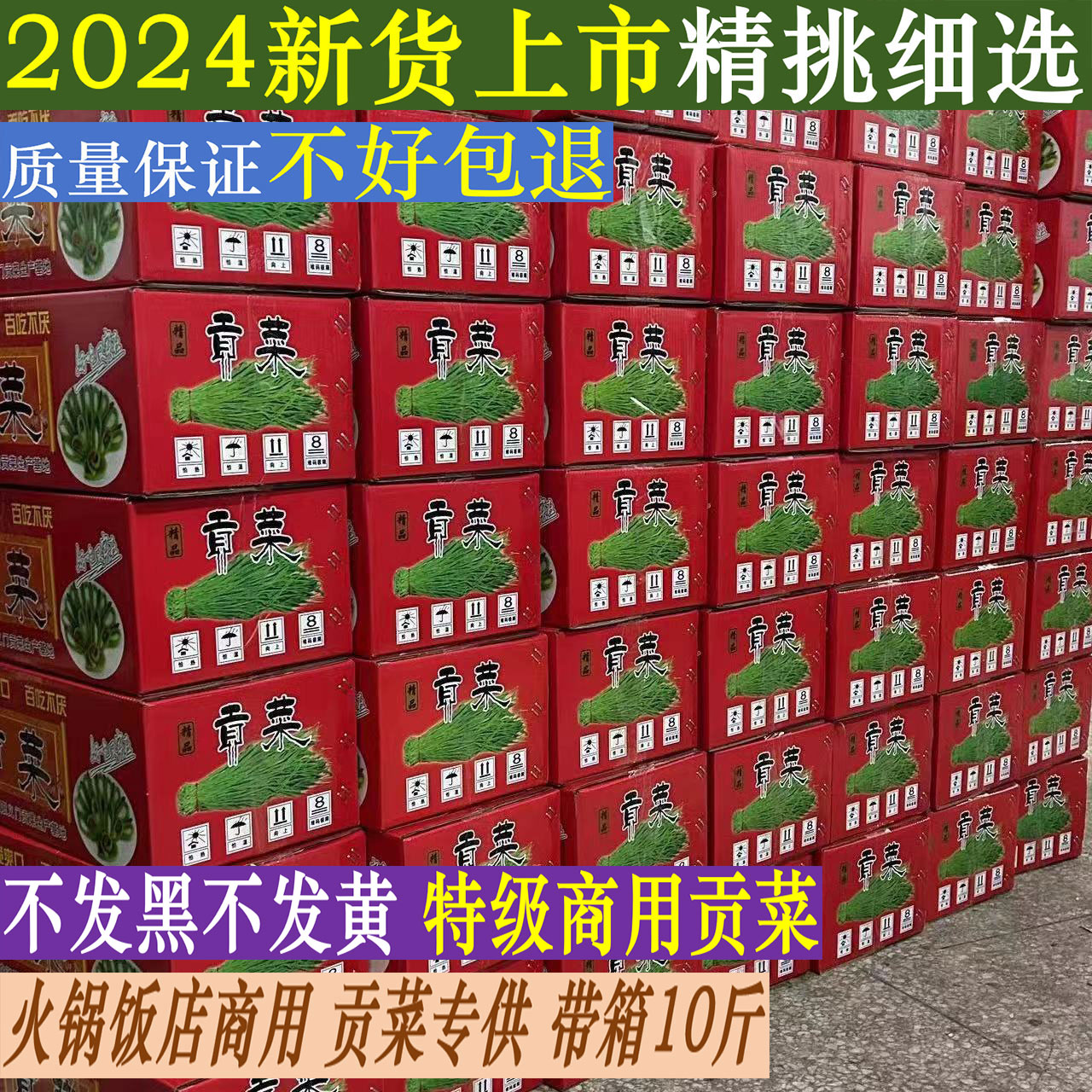 贡菜干货特级年货带箱10-5斤苔干响菜脱水蔬菜商用火锅专用饭店