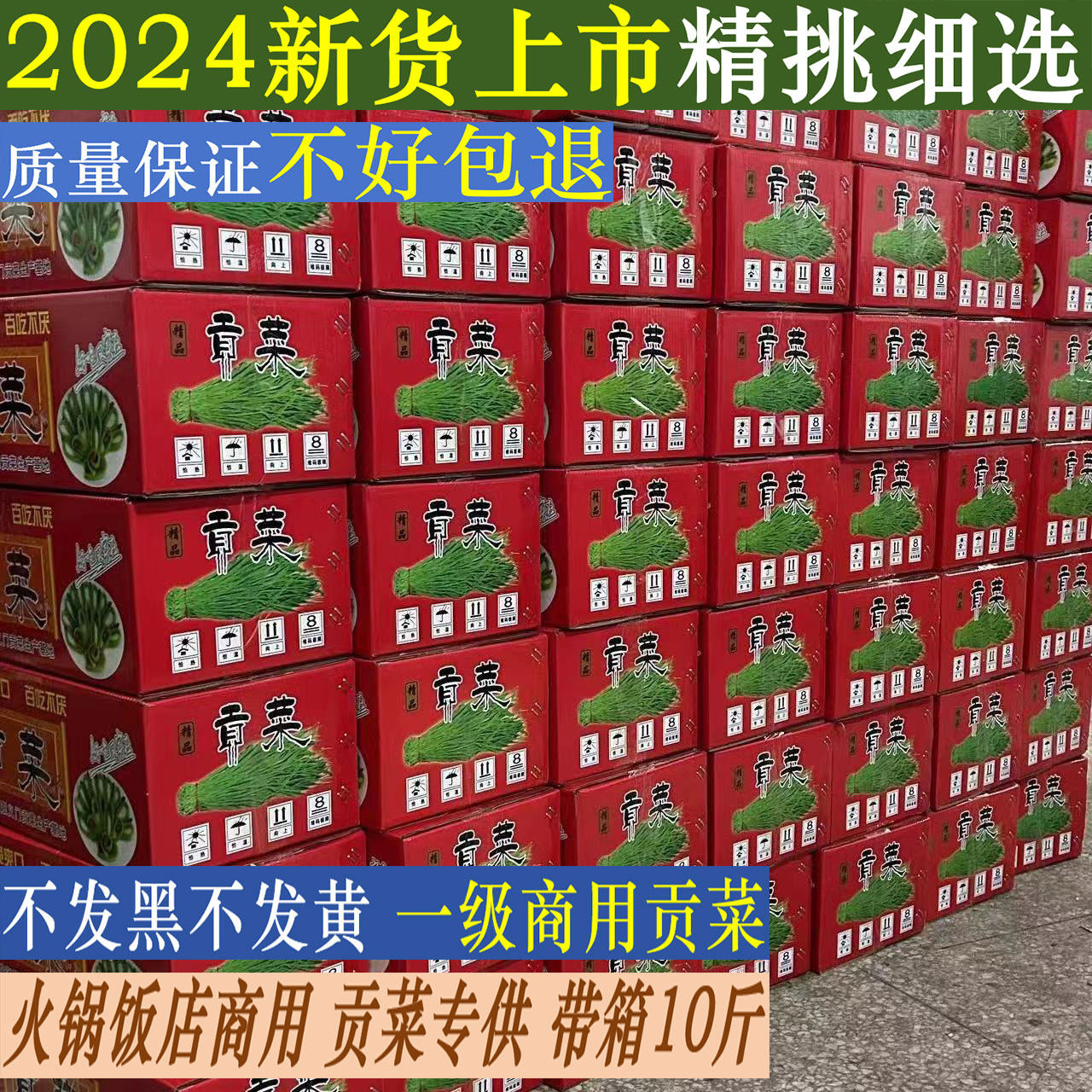 涡阳商用贡菜干特级响菜苔干菜火