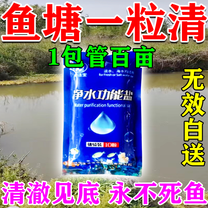 鱼塘水质净化剂改底解毒鱼改善池塘水变清消毒杀菌除臭养鱼专用药 宠物/宠物食品及用品 鱼缸净水剂 原图主图