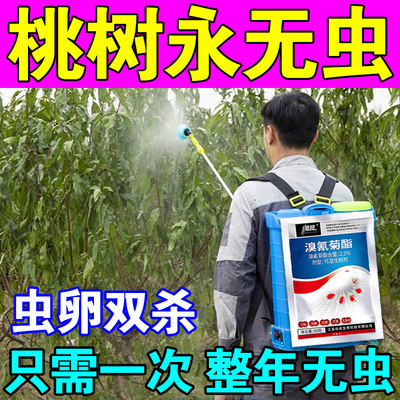 桃树杀虫专用药果树一喷净除蚜桃食心天牛虫卵双杀缩叶病害专用药