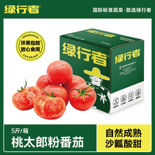 桃太郎番茄新鲜自然熟沙瓤西红柿孕妇水果非普罗旺斯