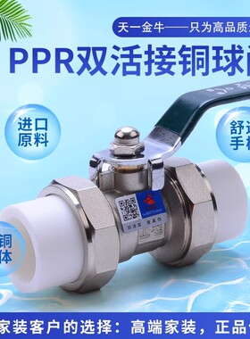 天一金牛双活接PPR双活接钢球阀门 20 4分 25 6分 PPR球阀