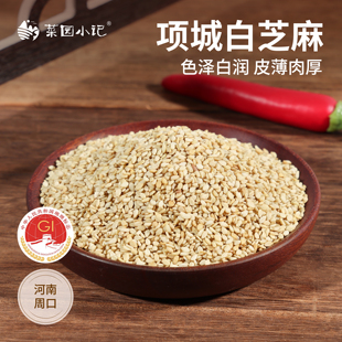 项城白芝麻河南周口贾岭特产农产品地理标志产品香脆饱满生芝麻