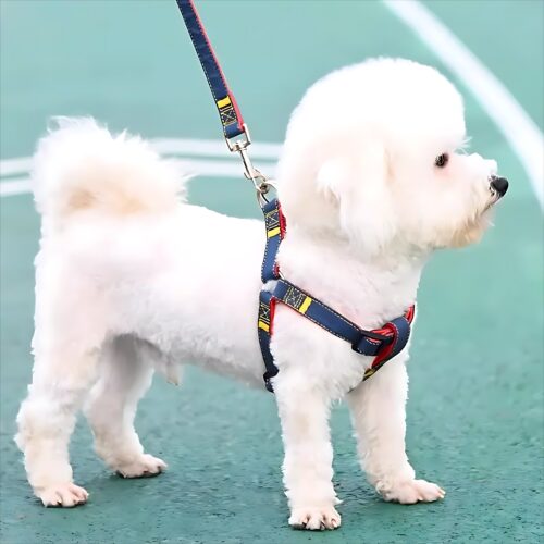 狗狗牵引绳大型中型小型犬狗链子狗项圈泰迪金毛遛狗绳子宠物用品