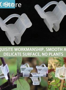 50PCs/Pack Plant Grafting Clip Plastic Reusable Horticultura