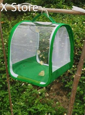 Green Collapsible Insect Cage Mesh Insect Habitat Cage Butte