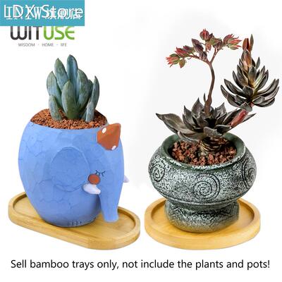 6Pcs Round/Oval/Square/hexagon Bamboo Tray Planters Stand Fa