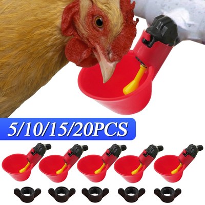 Chicken Nipple Water Cup Quail Hanging Drinking Bowl automat