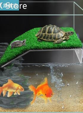 Turtle Basking Drying Platform Suction Cup Tortoise Climbing